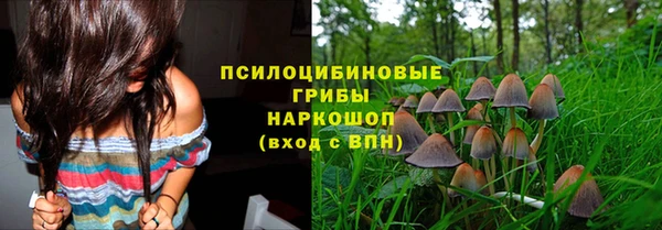 соль курить ск Пестово