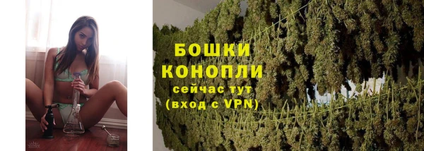 марки lsd Пересвет