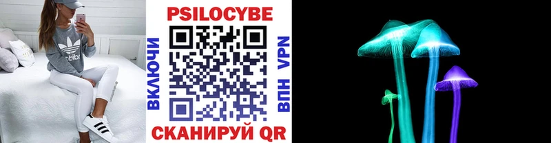 мориарти Telegram  Задонск  Галлюциногенные грибы Cubensis 